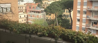 Le Finestre sul Vaticano