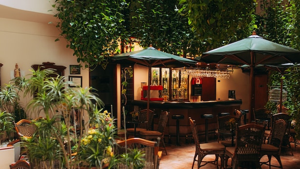 Zona de bar con sillas de mimbre y sombrillas verdes, rodeada de exuberantes plantas de interior.