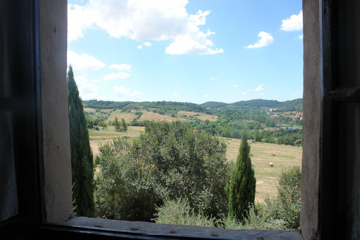 Vista desde la habitación