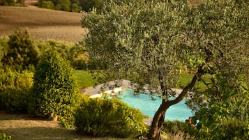 Outdoor pool, a rooftop pool, pool umbrellas, pool loungers