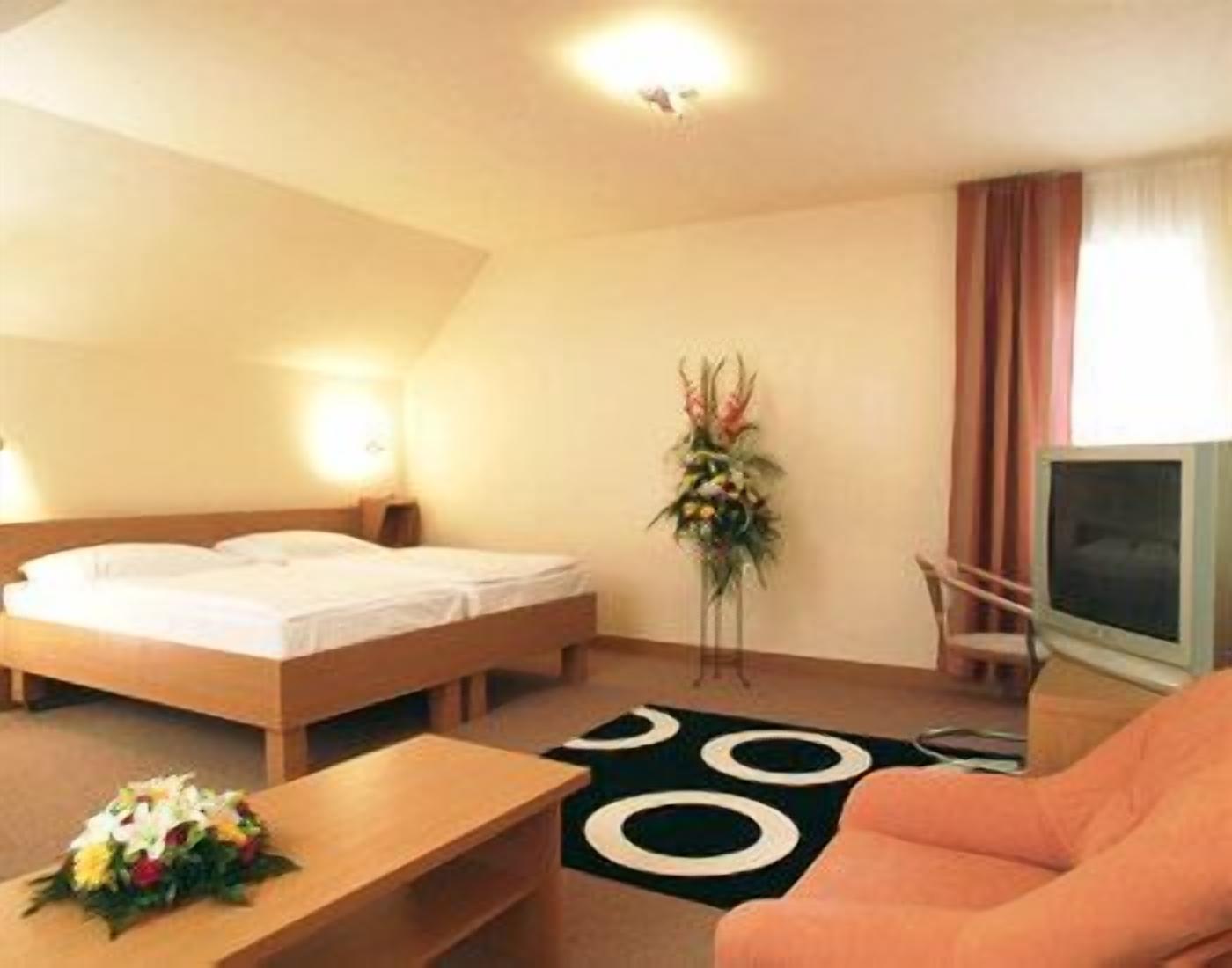A hotel room with a bed, a desk, a chair, a TV, and a decorative plant.