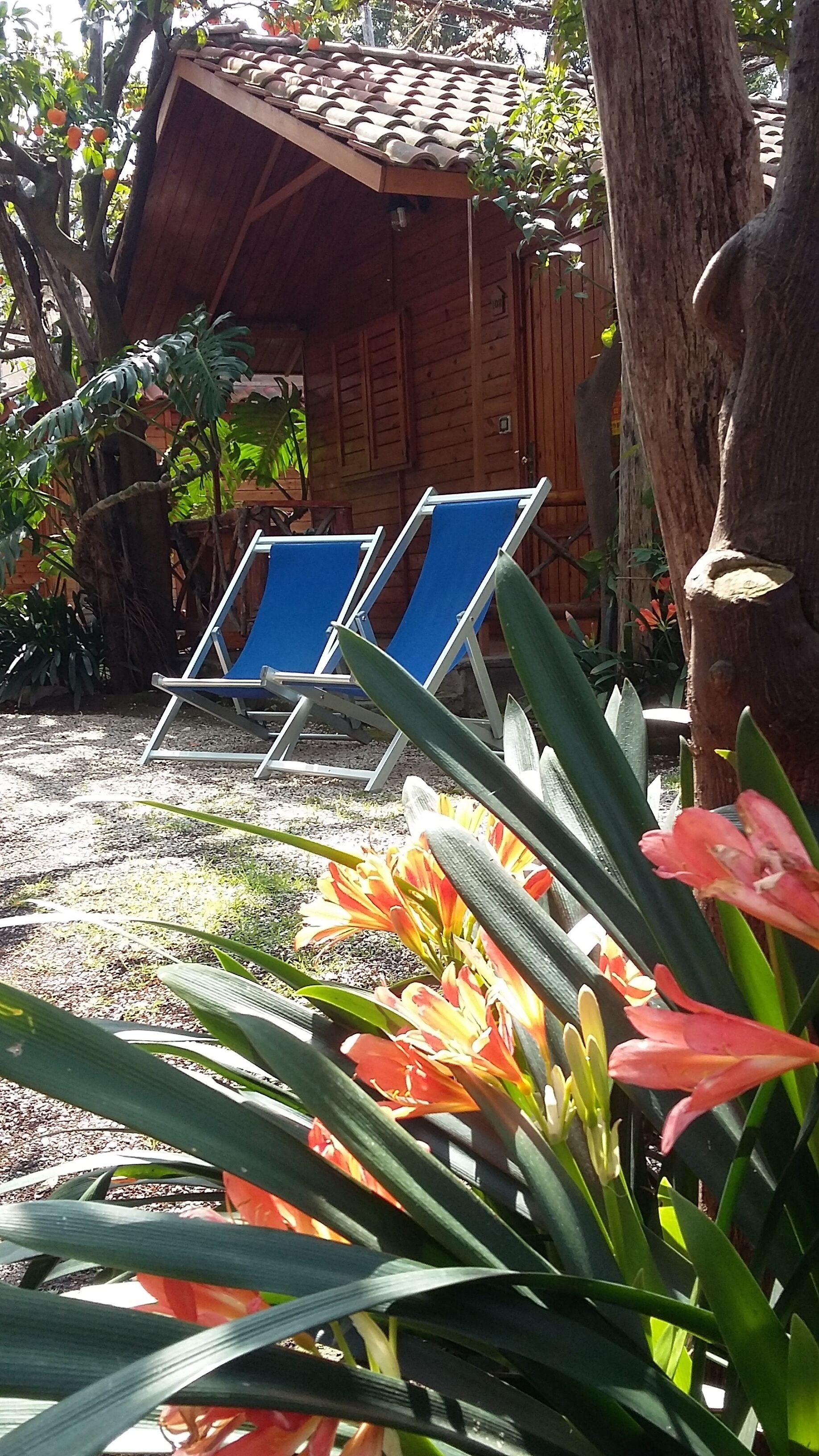 Photo - Residence Villaggio Verde