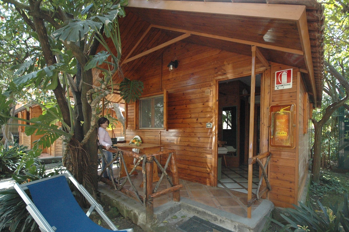 A wooden cabin with a porch, a dining table, and a blue chair.