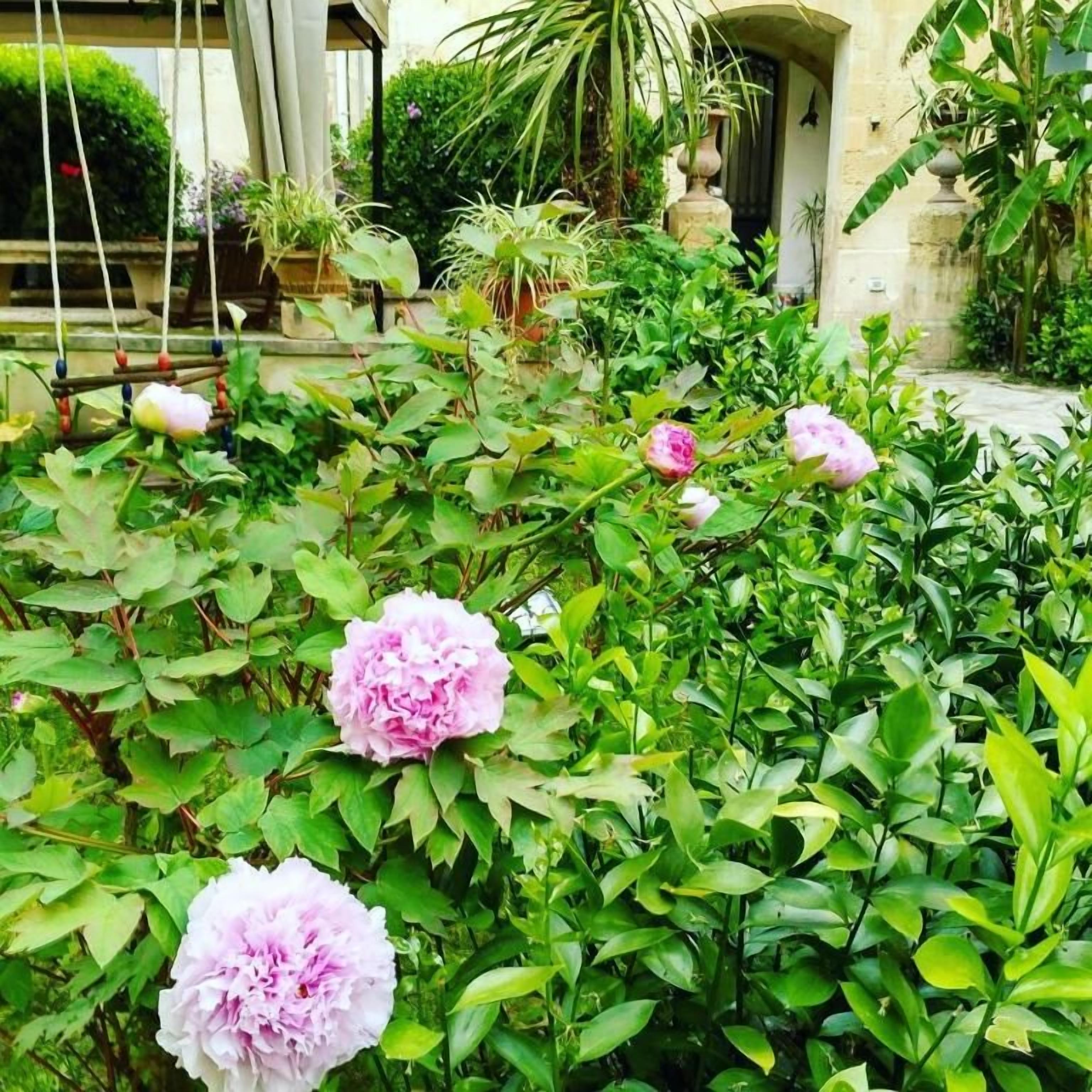 A lush garden with flowering plants and a stone building in the background.