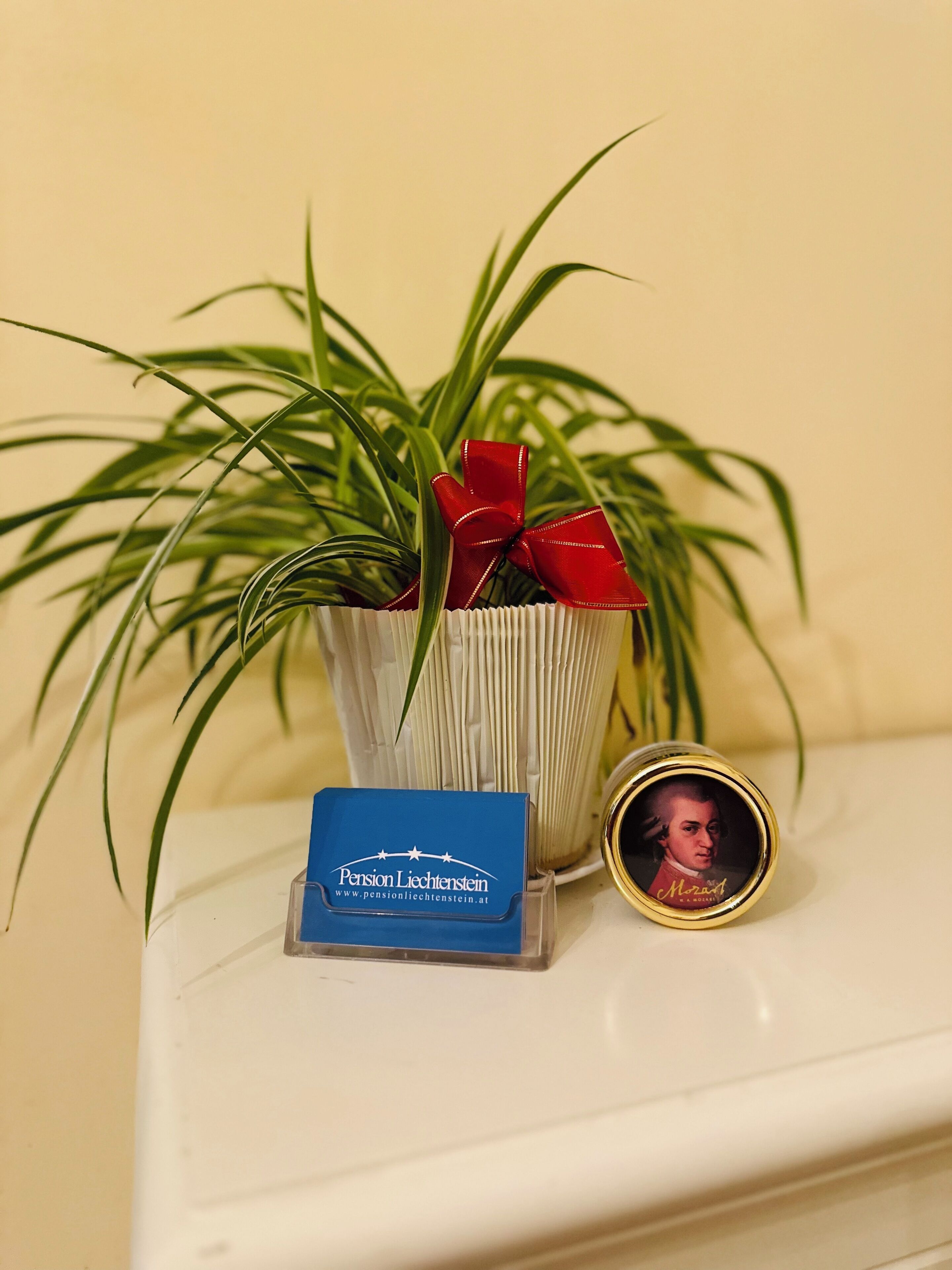 Photo - Pension Liechtenstein