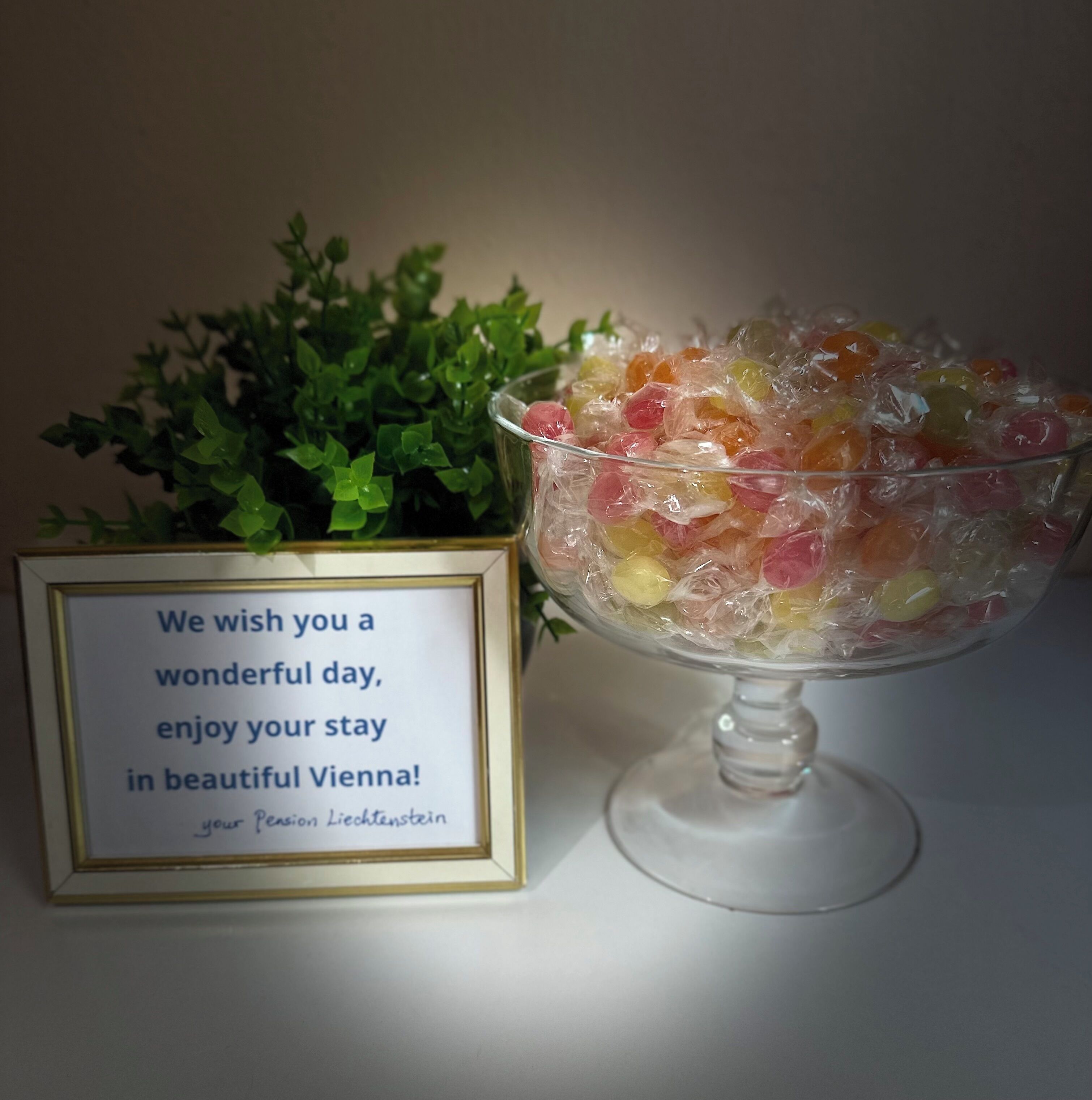 Photo - Pension Liechtenstein