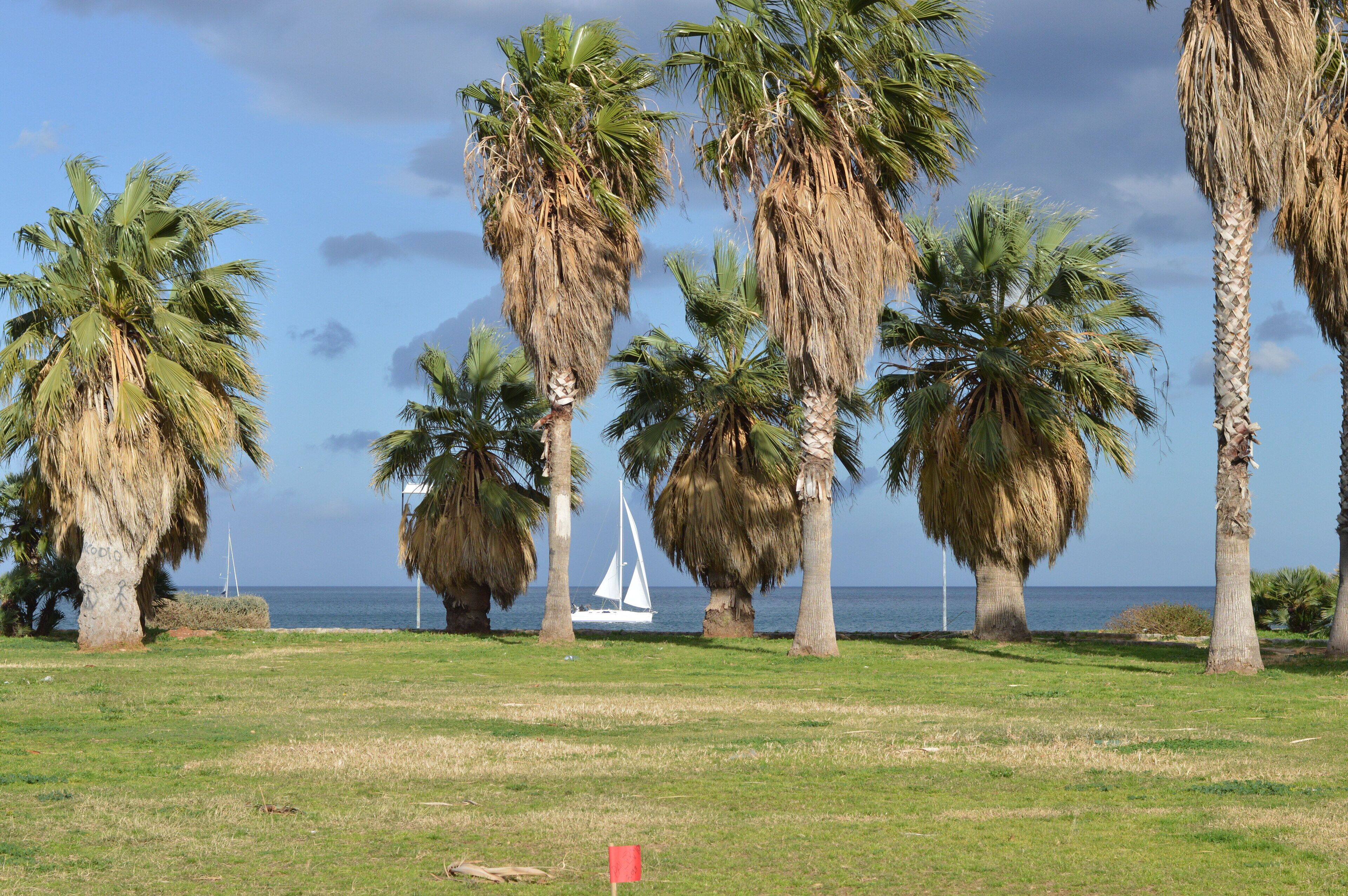 Photo - La dimora del genio
