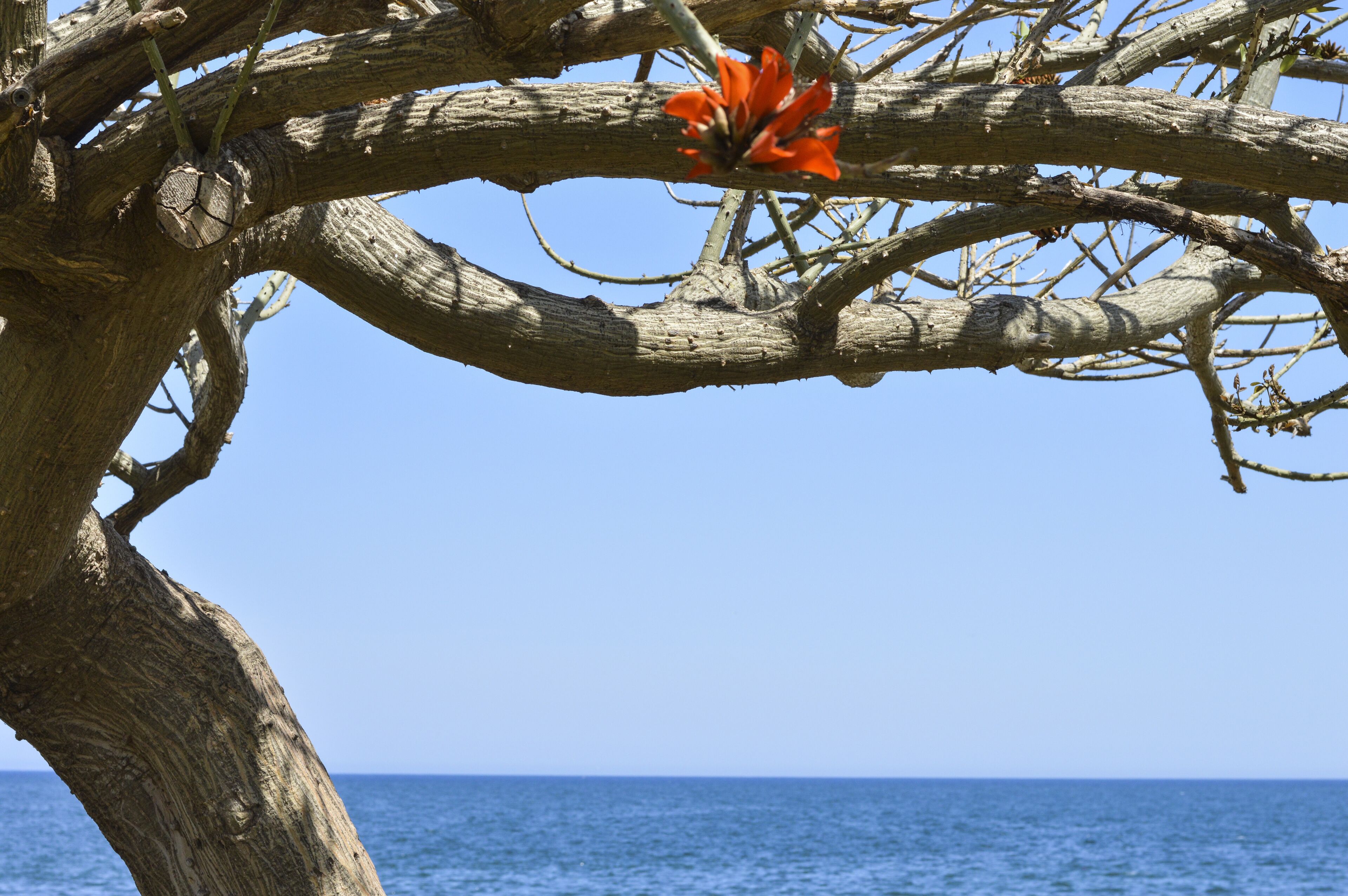 Photo - La dimora del genio