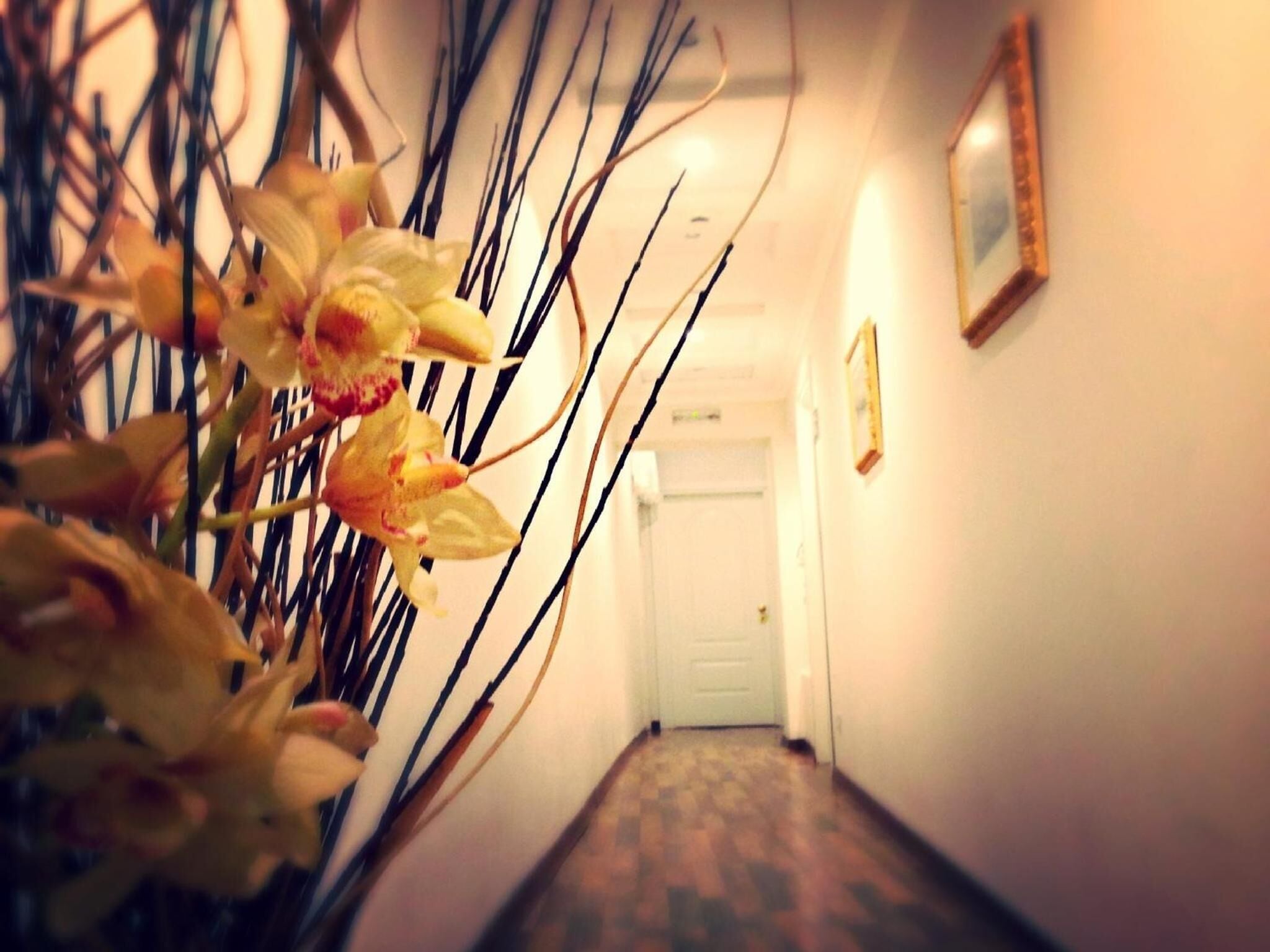 Photo - Residenza Domiziano