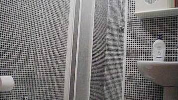 Hair dryer, bidet, towels