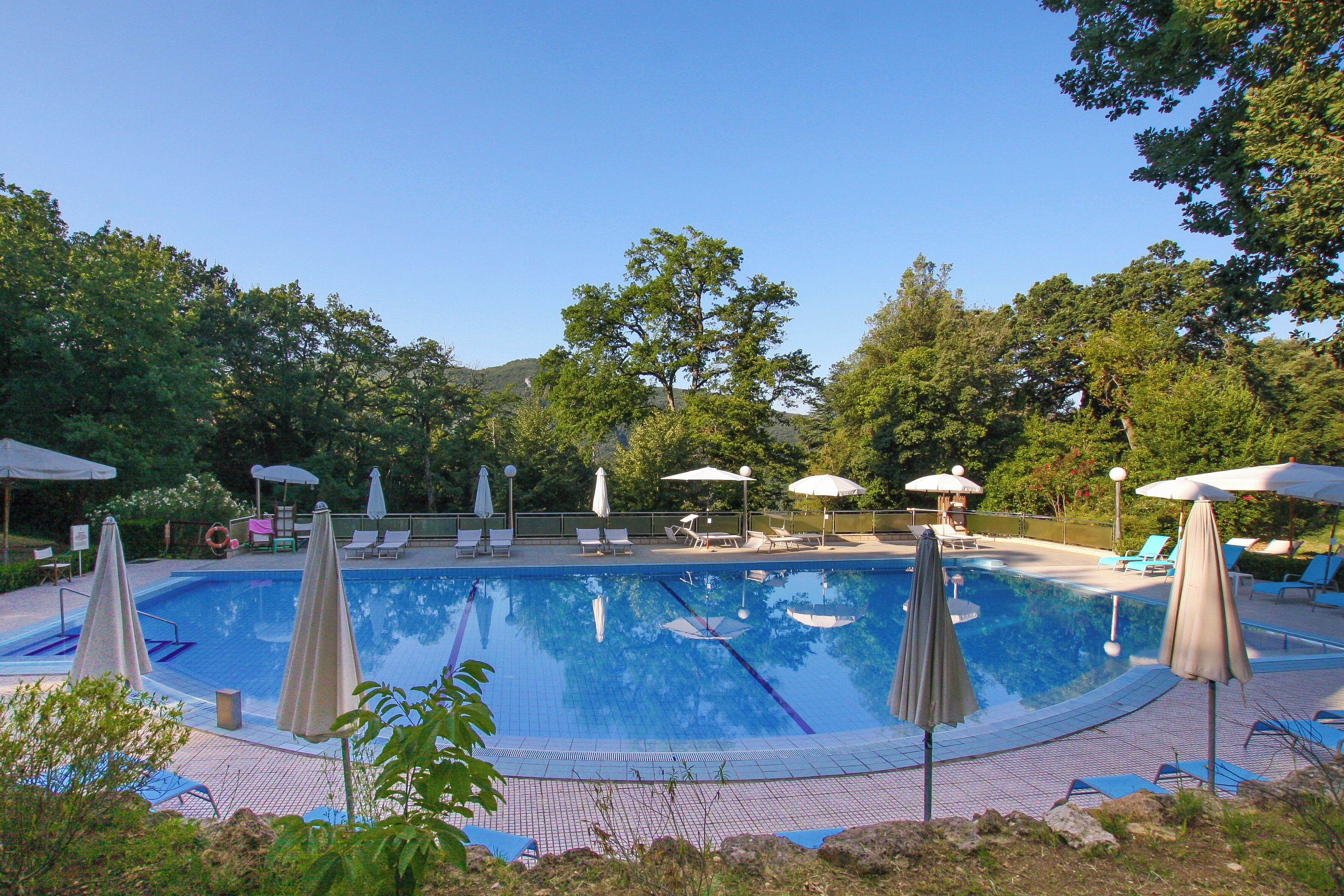A swimming pool with lounge chairs and umbrellas, surrounded by trees.