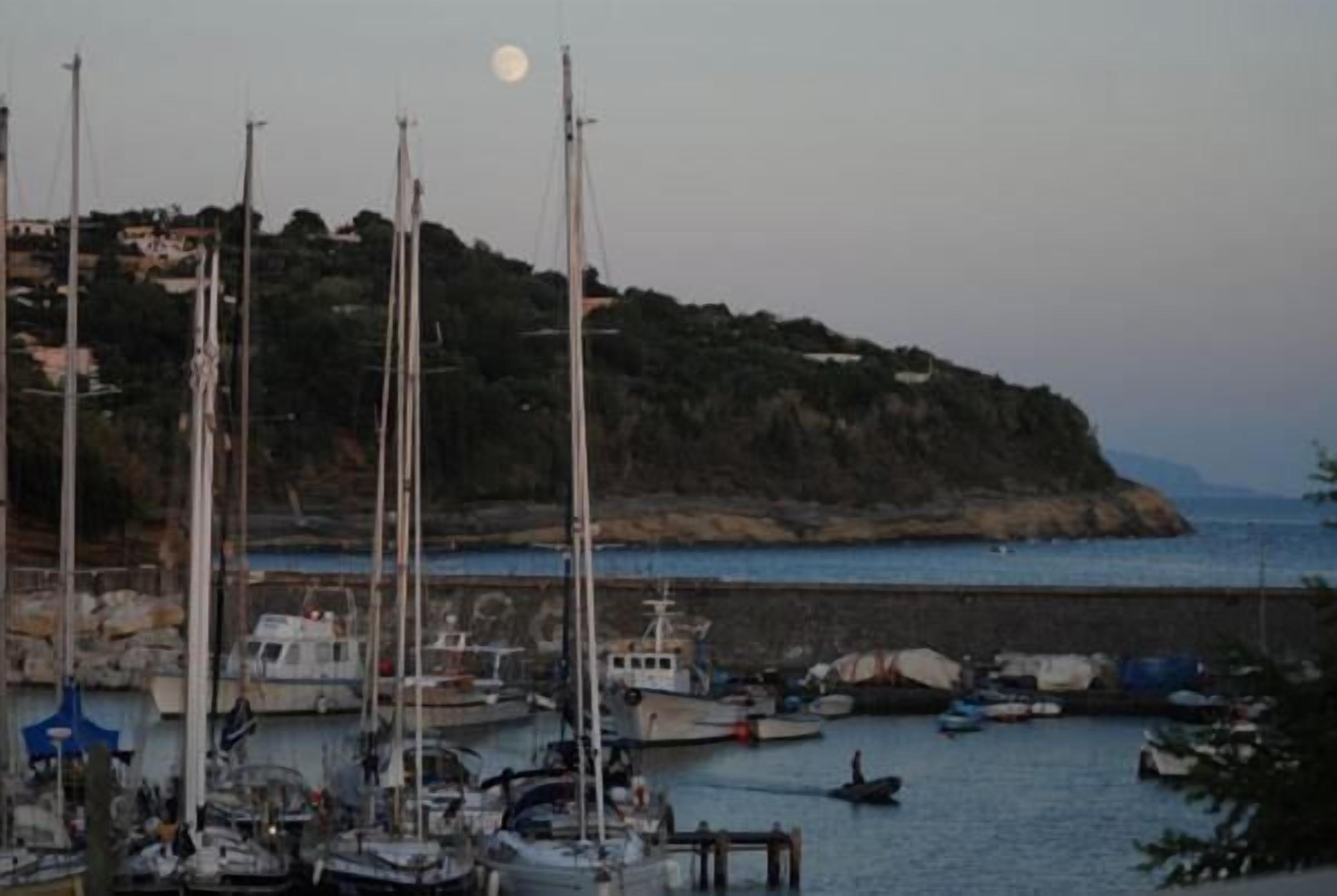 Una marina con diverse imbarcazioni ormeggiate, una costa rocciosa e una collina sullo sfondo con edifici.