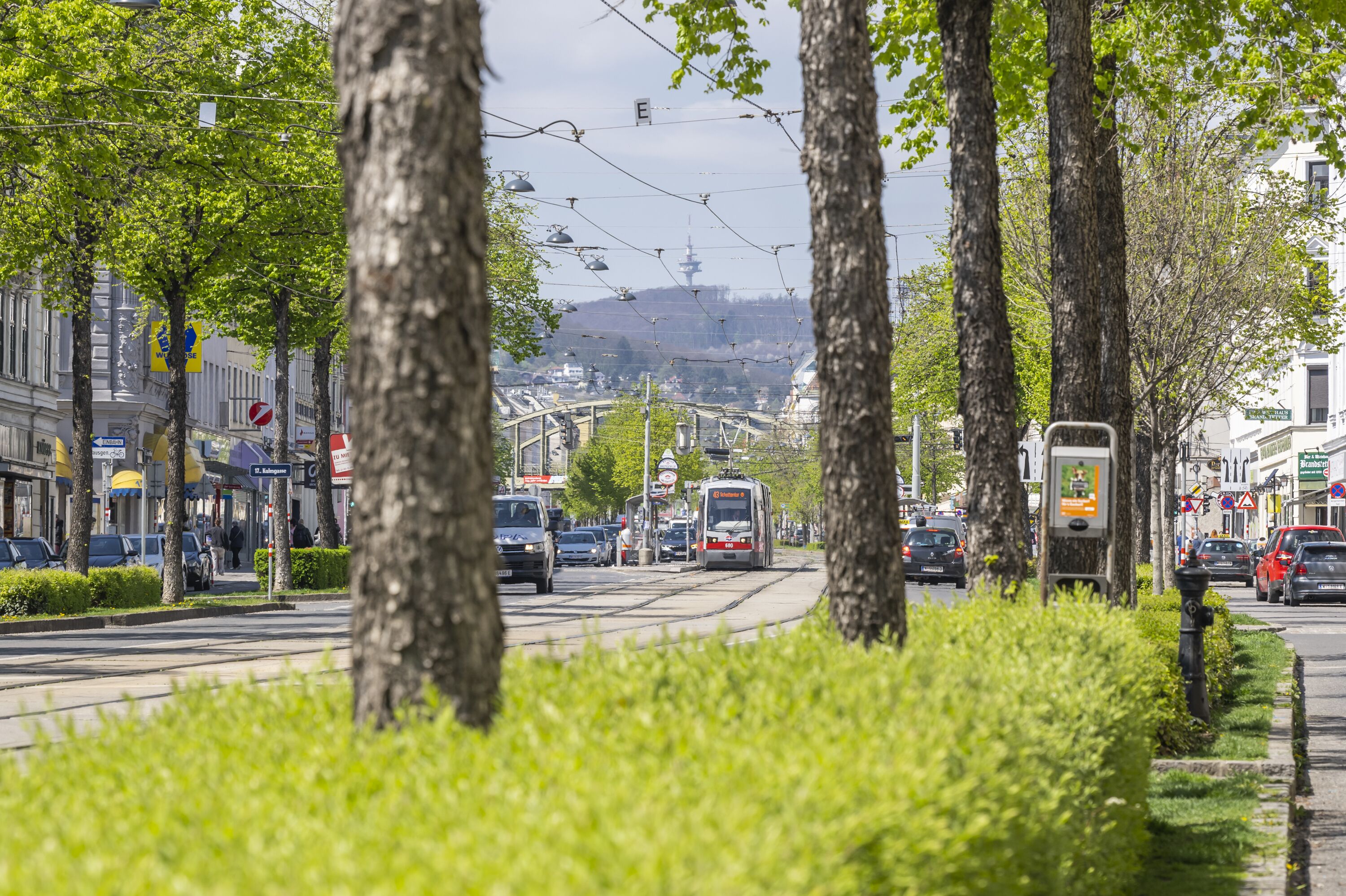 Une rue bordée de voies de tramway, d’arbres et d’immeubles.
