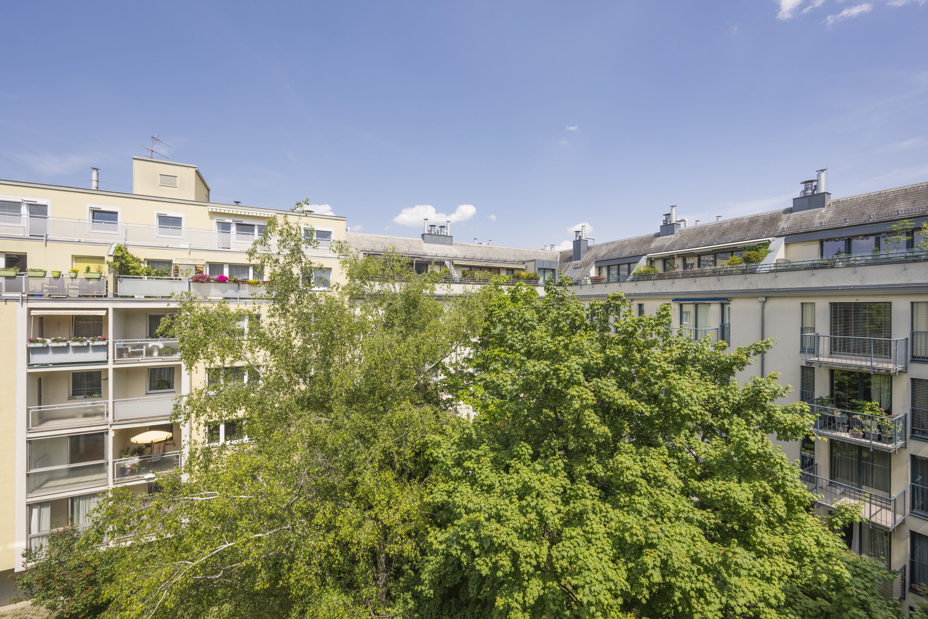 Un edificio residenziale a più piani con balconi, ampie finestre e un albero sullo sfondo.
