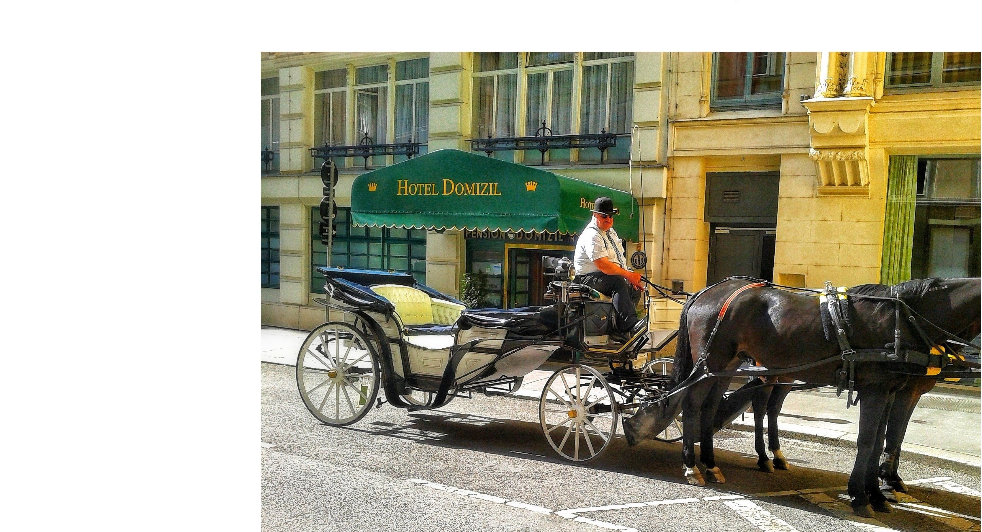 Photo - Hotel Domizil