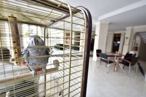 Reception - Hotel Topkapı (Istanbul)