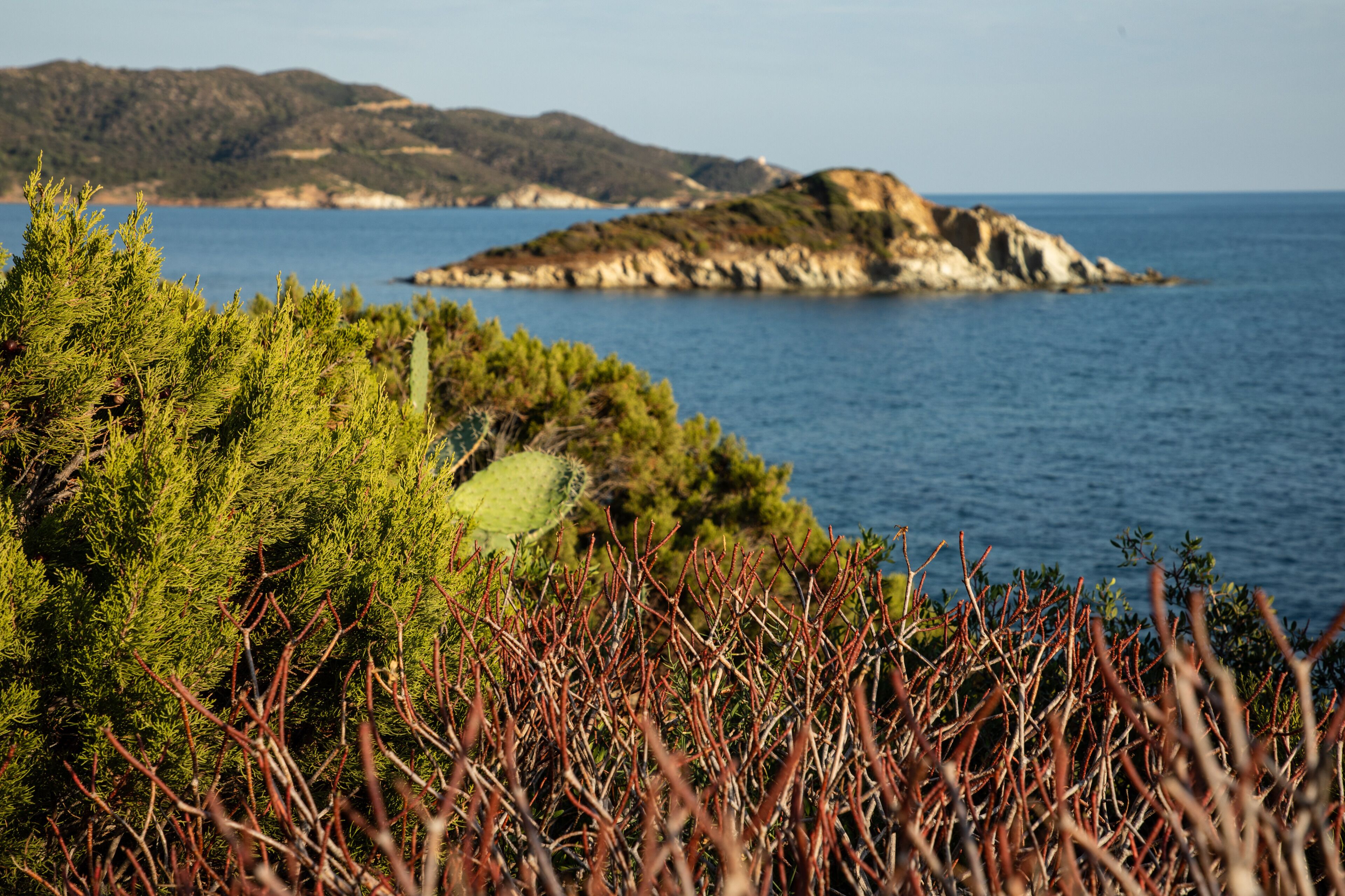 Paisaje costero con vegetación densa en primer plano y vista al mar y colinas distantes.