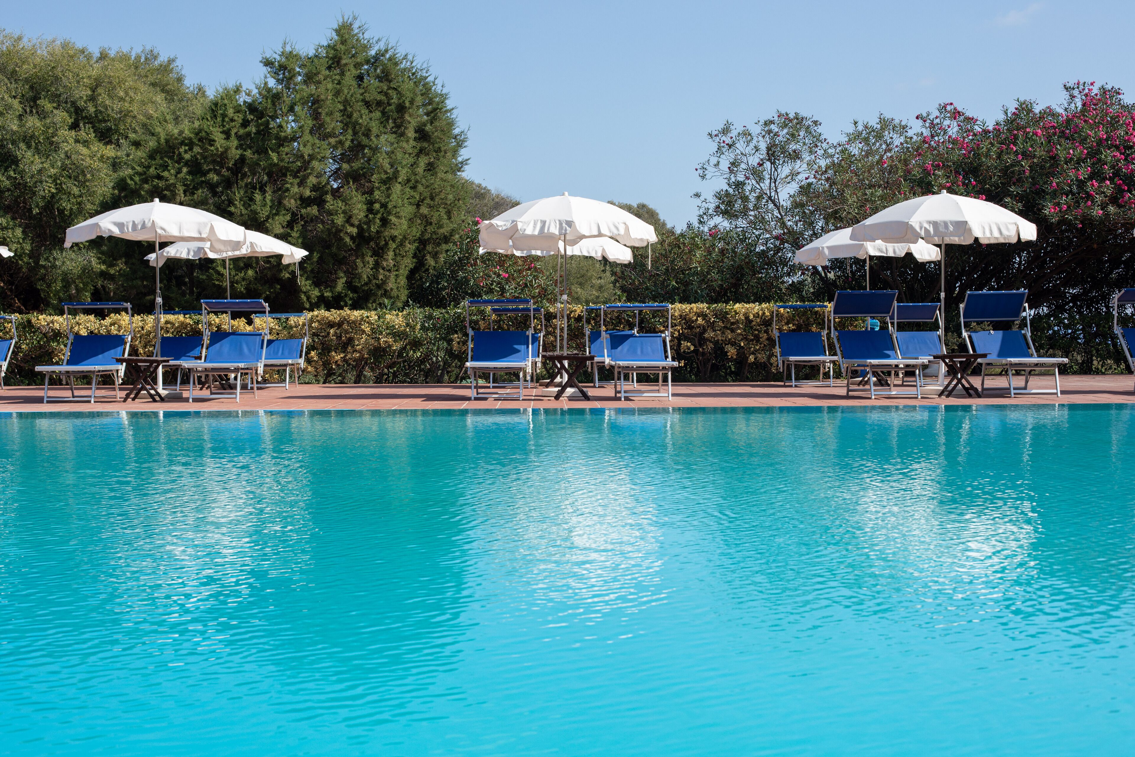 Outdoor pool, pool umbrellas, pool loungers