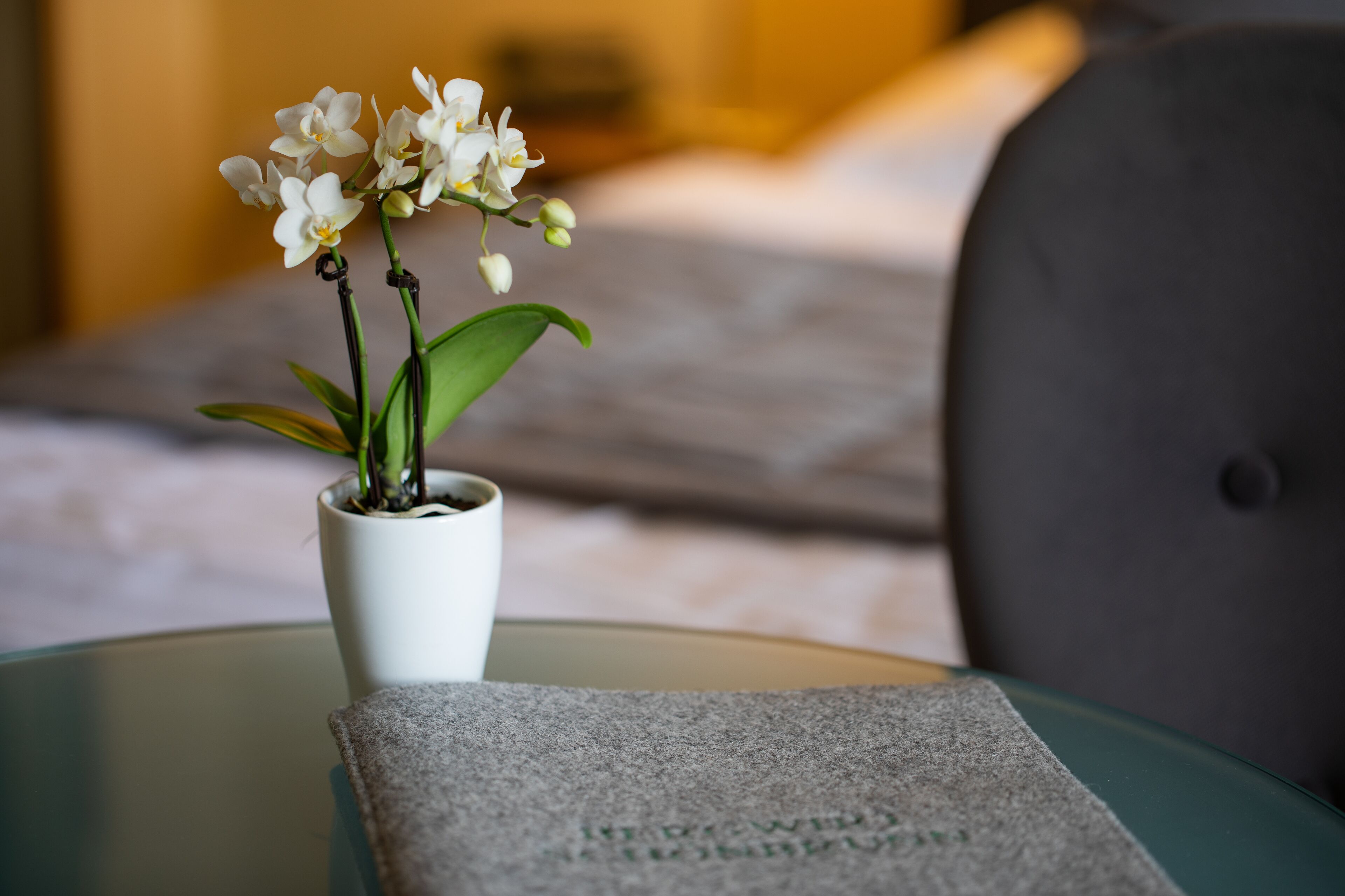 Photo - Hotel Bergwirt Schönbrunn