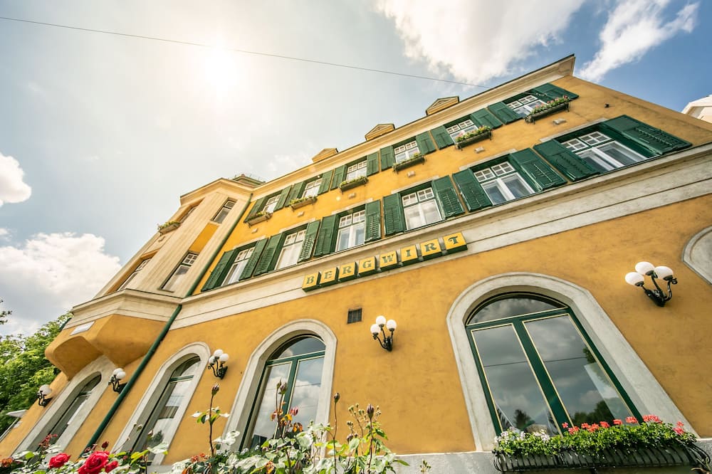 Hotel Bergwirt Schönbrunn