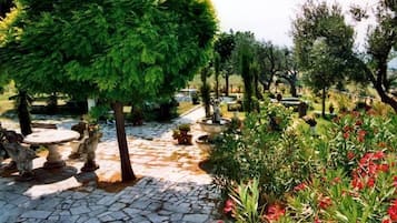 Parco della struttura