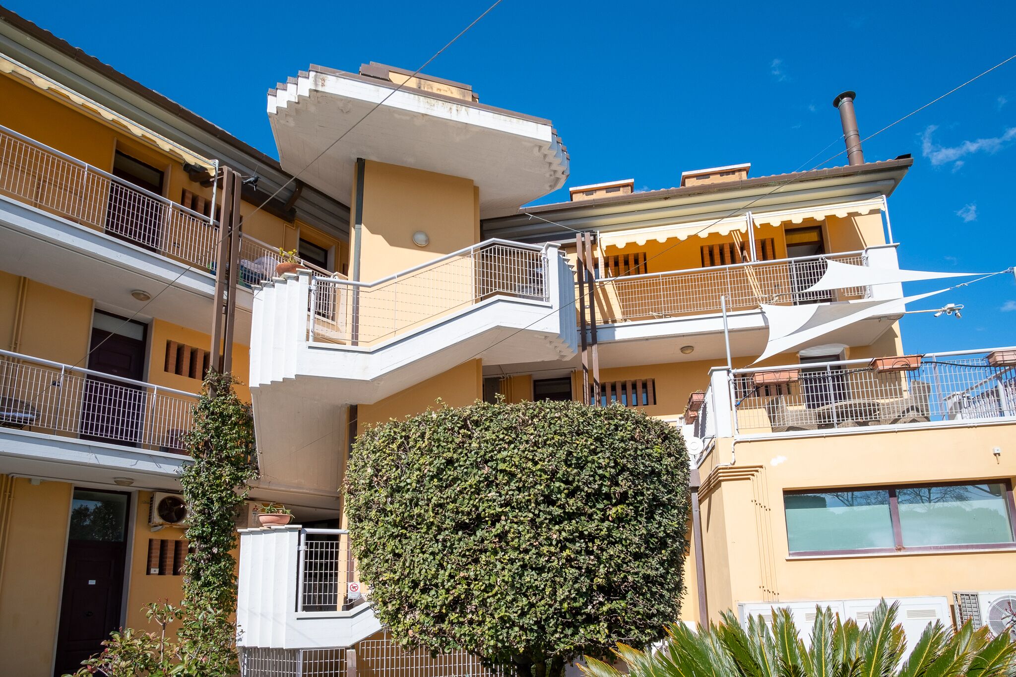 Un edificio de varios pisos con balcones, un arbusto grande al frente y un cielo azul despejado.