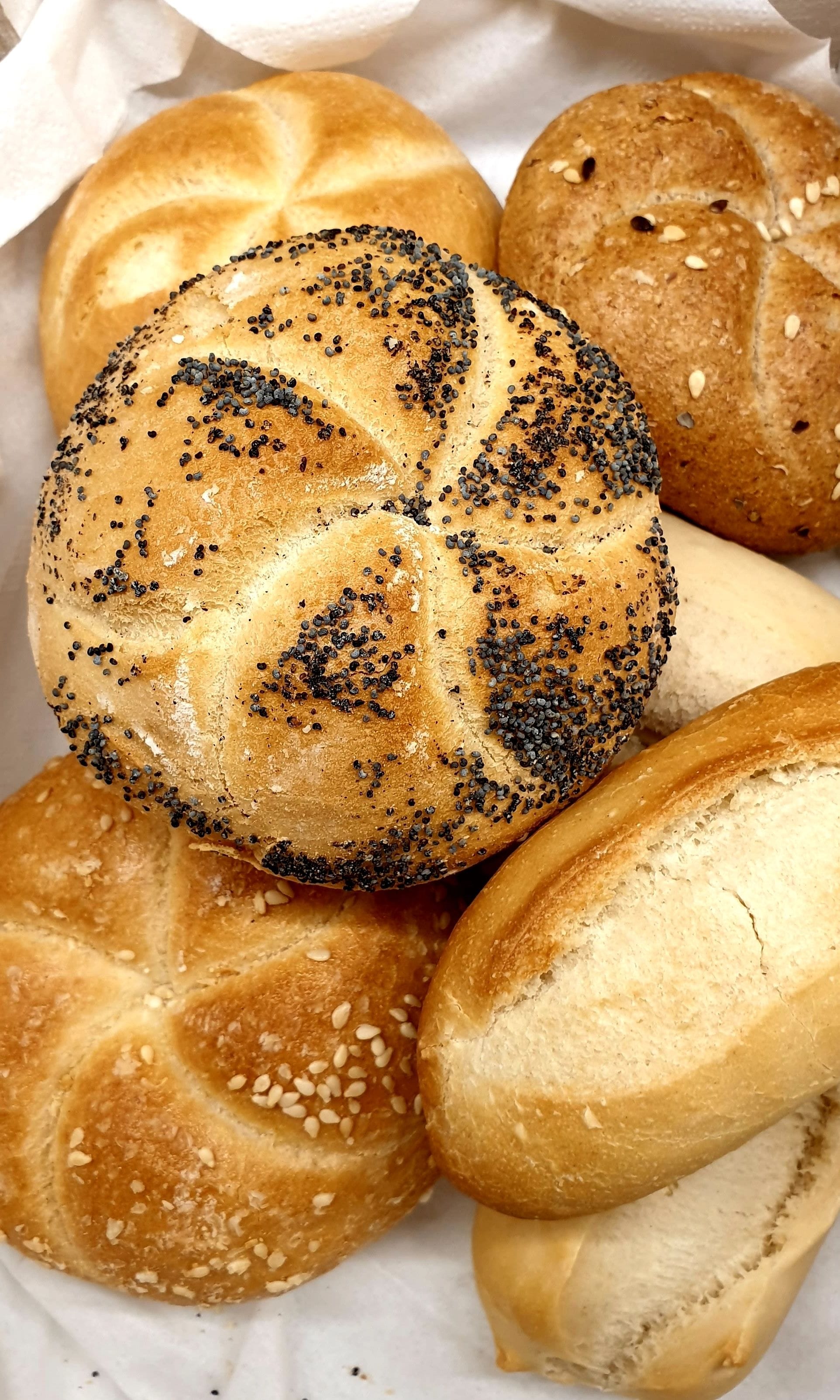 Foto - Casa Dominova de Luxe