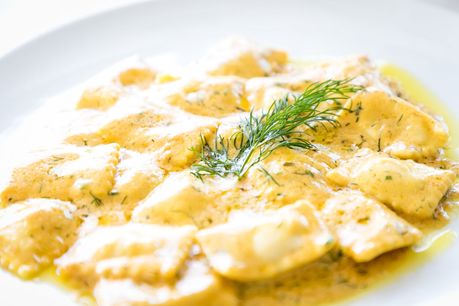 A dish of ravioli in a creamy sauce with a sprig of dill on top.