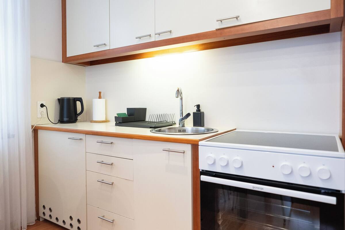 standard apartment, city view | private kitchen | fridge, oven, stovetop, cookware/dishes/utensils