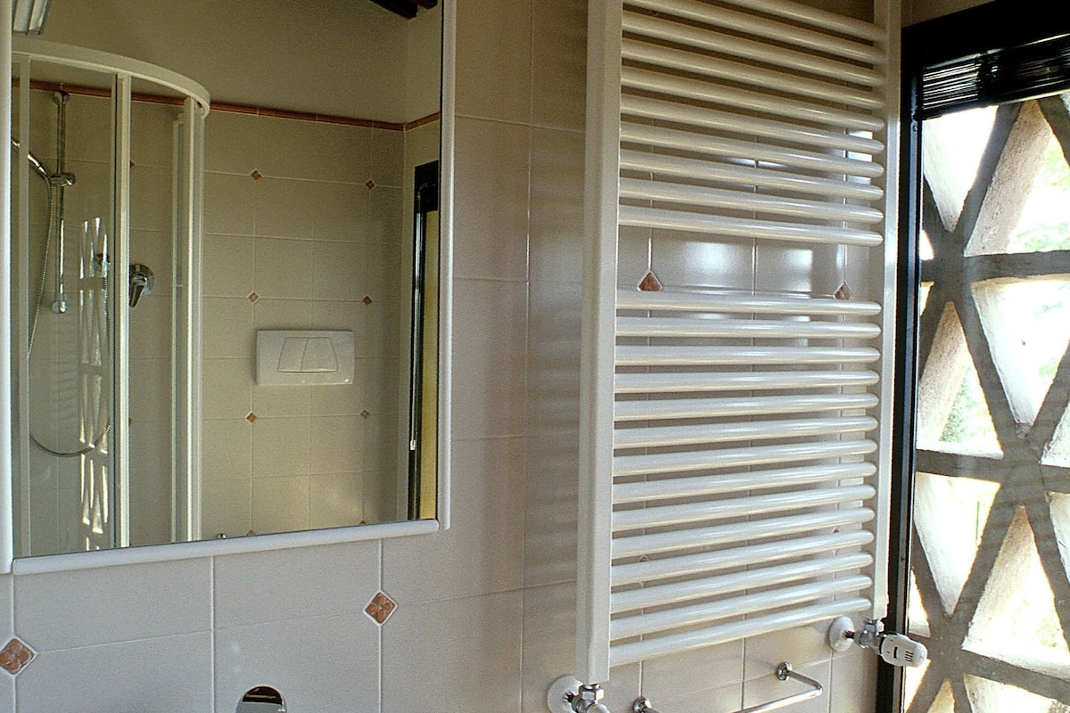 free toiletries, hair dryer, bidet, towels