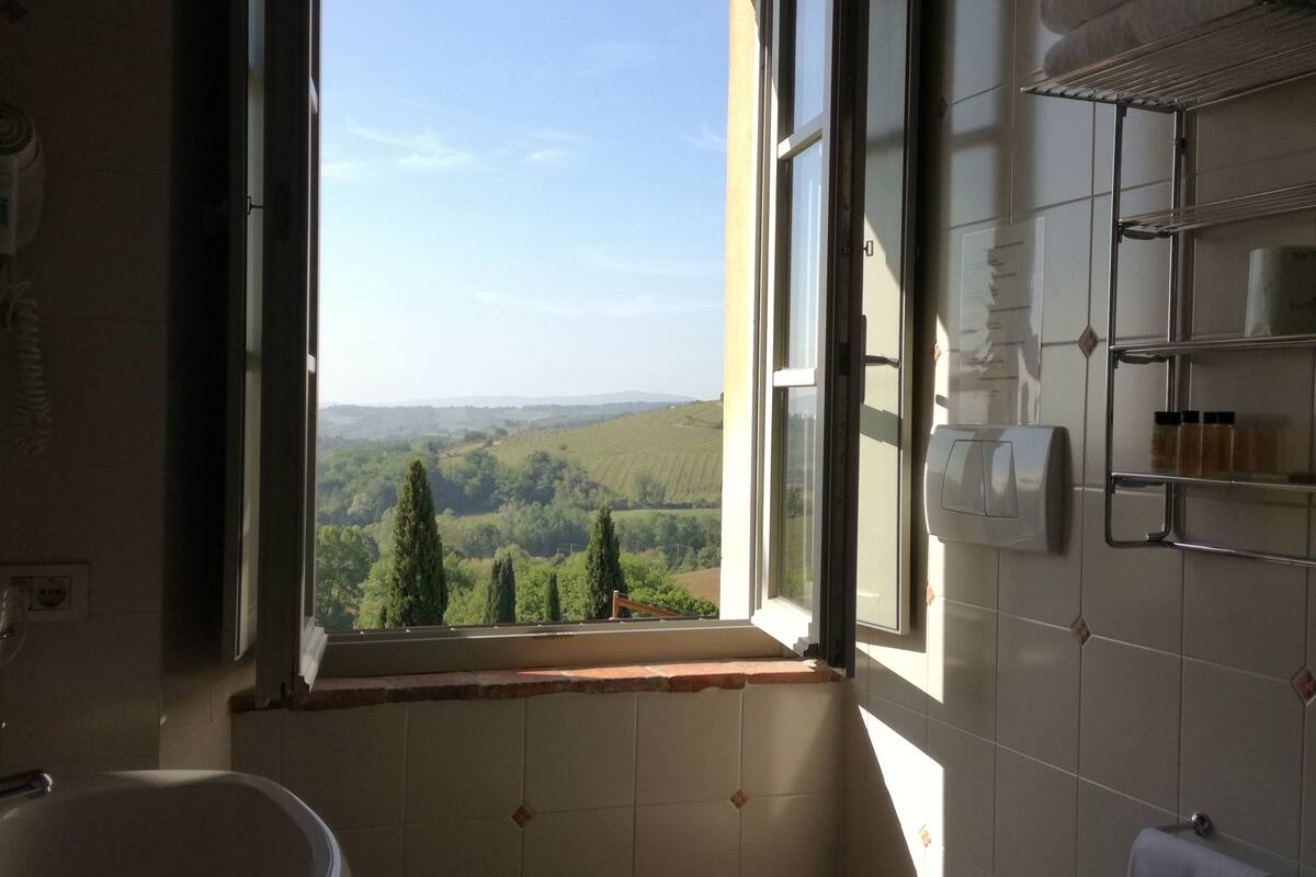 free toiletries, hair dryer, bidet, towels