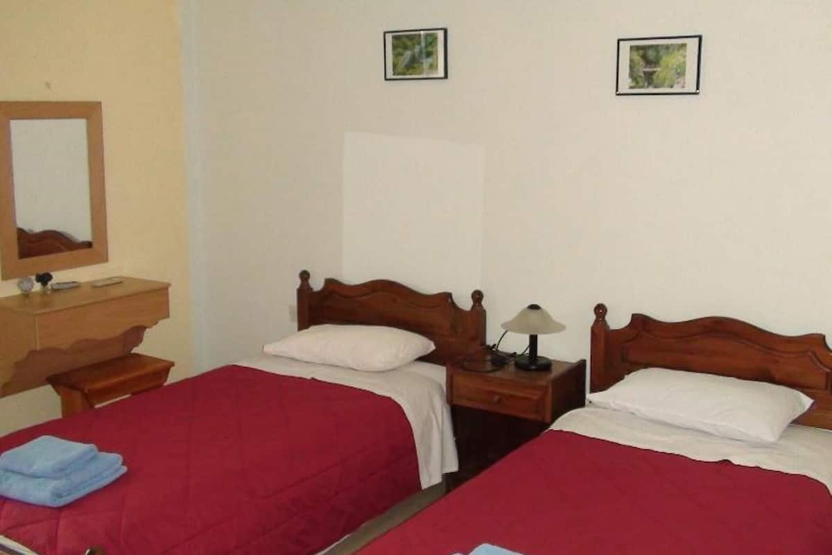A room with two single beds, a wooden nightstand with a lamp, a mirror, and a small table with a vase.