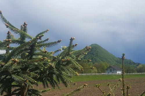 Aussenbereich