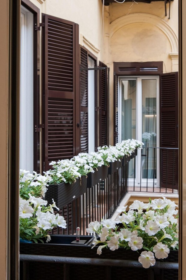 テラス / パティオ