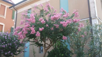 Vista frontal de la propiedad