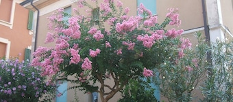 B&B Accorsi