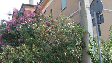 Voorkant van accommodatie