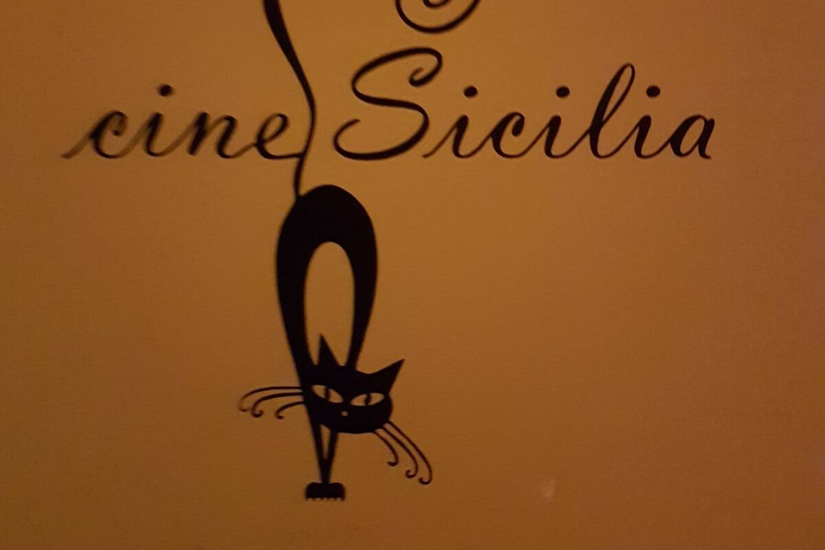 Logo con il testo "cine Sicilia" e una figura stilizzata di un gatto.