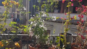 Un balcon agrémenté de plusieurs plantes en pot et d’un tronc d’arbre.