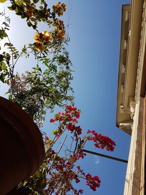 Design-Doppelzimmer, 1 Schlafzimmer | Balkon