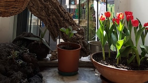 Un balcon agrémenté de plantes en pot, d’une jardinière suspendue et d’un fil à linge où sèchent des vêtements.