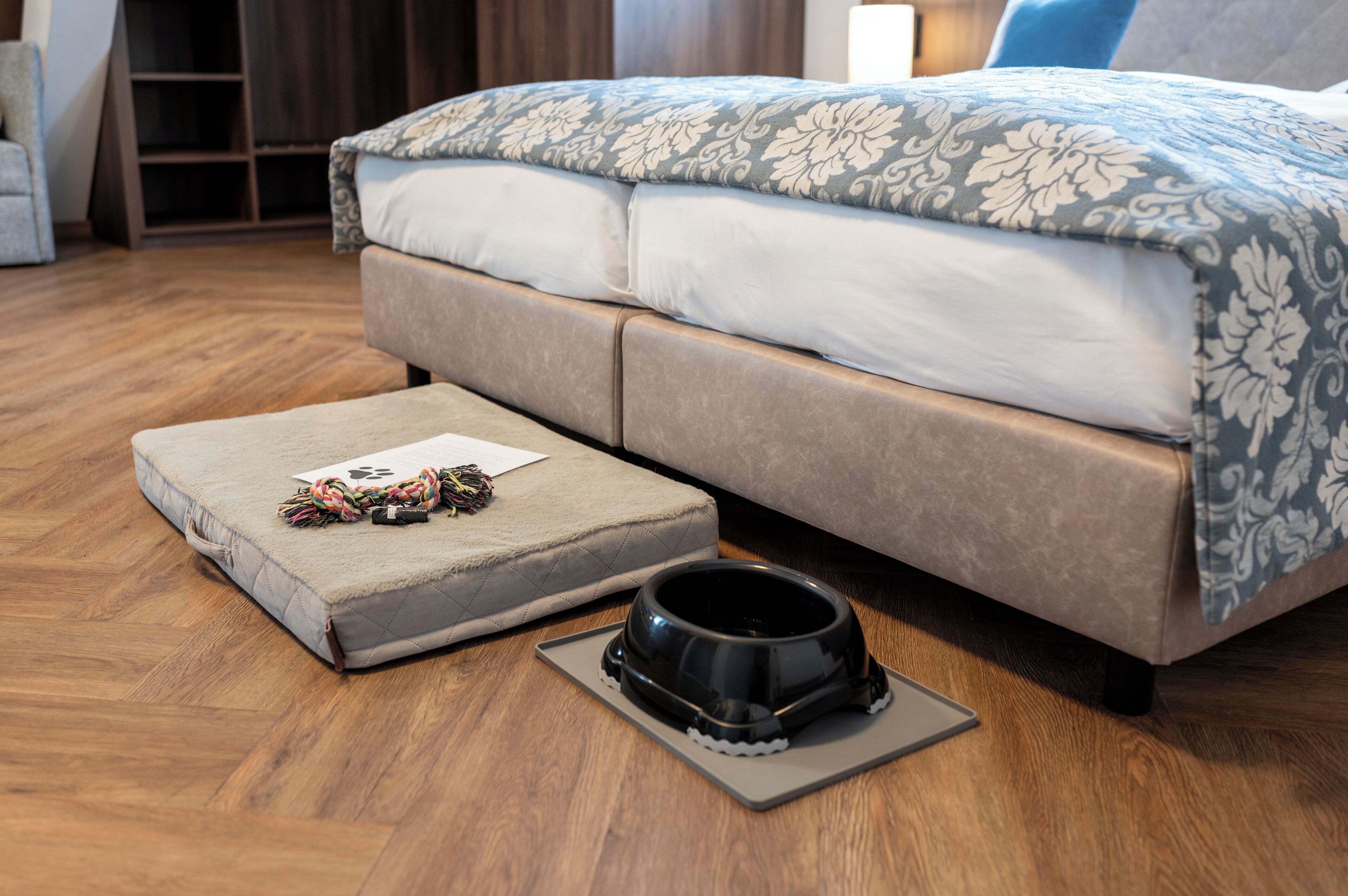 pet-friendly amenities