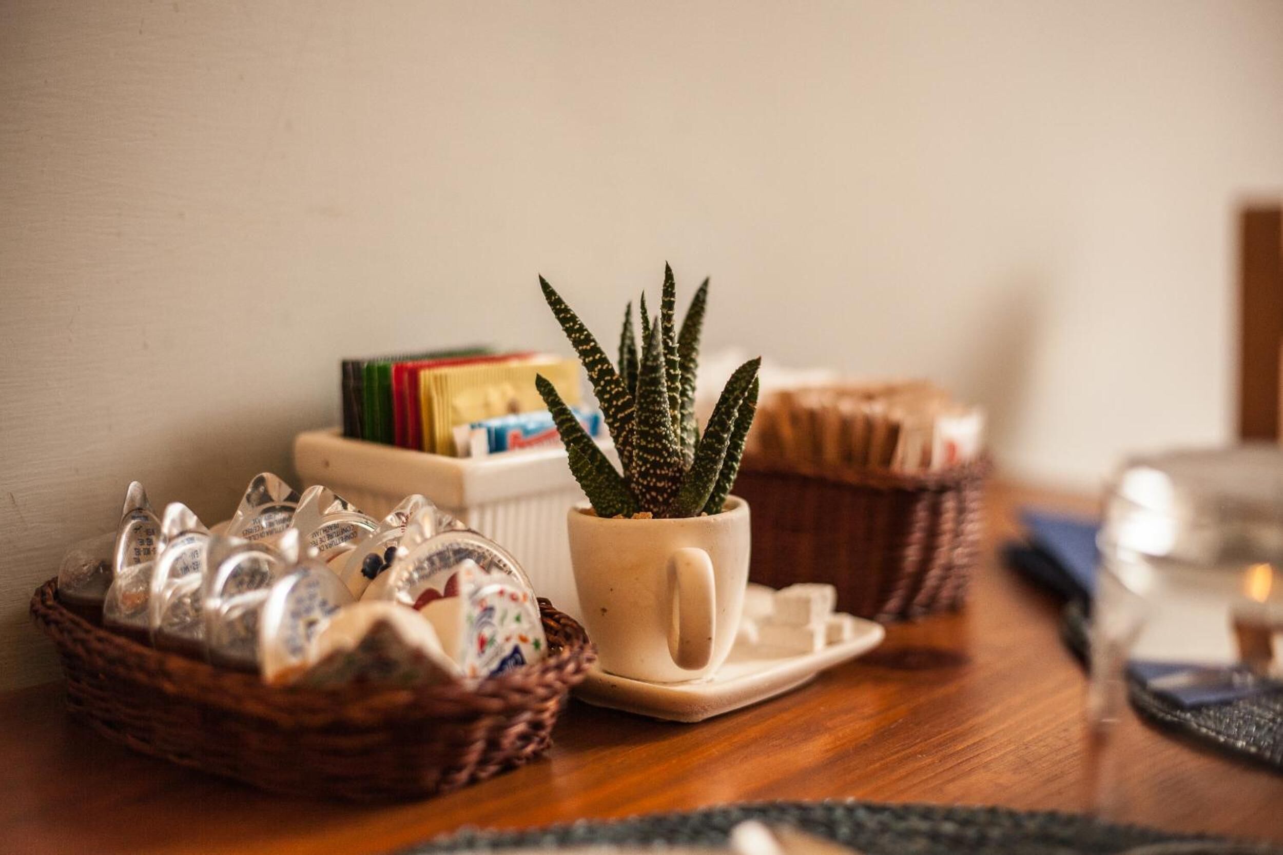 A small potted plant on a table with a basket of glassware and a stack of books.