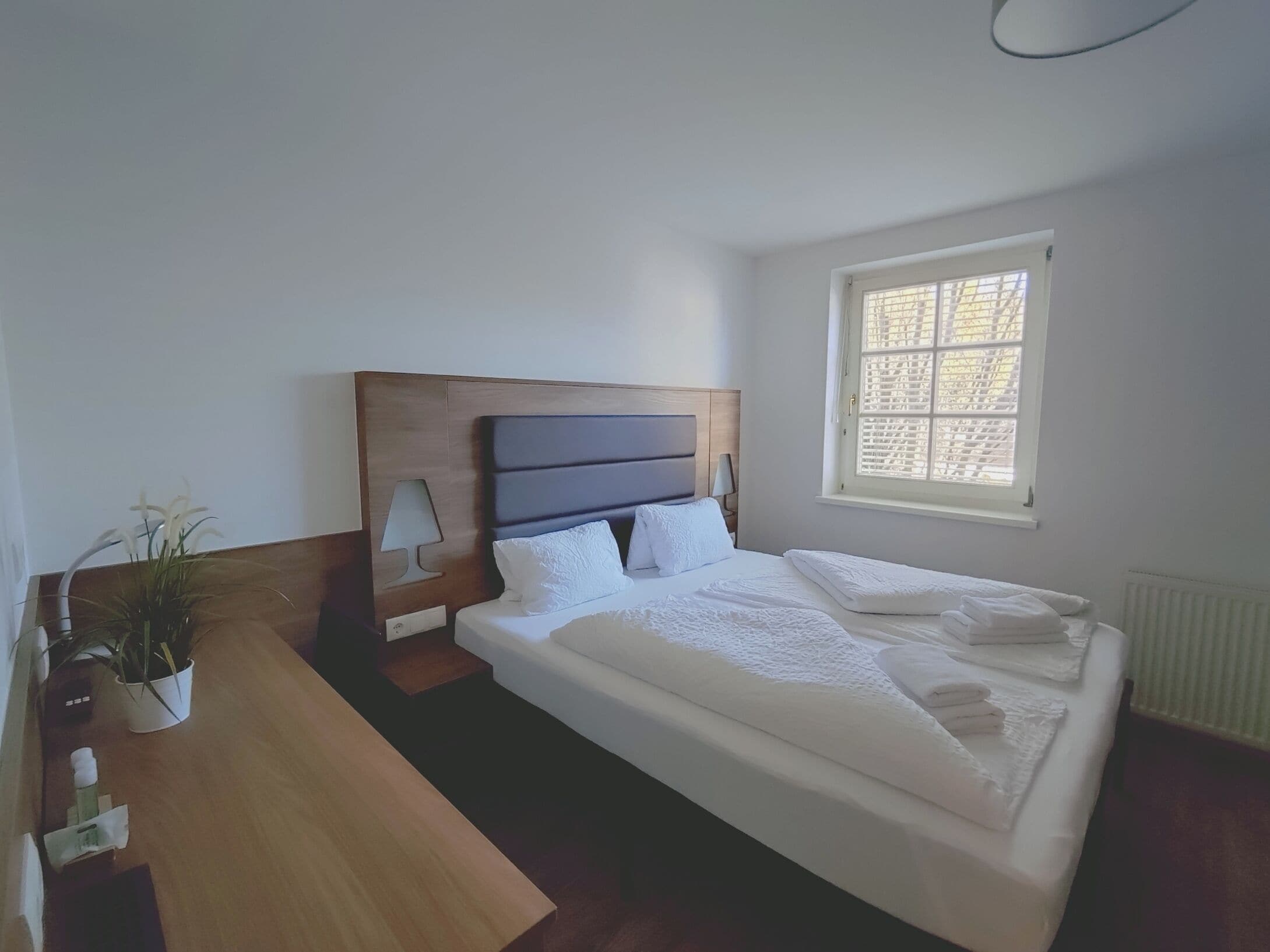 A bedroom with a bed, bedside table, lamp, window, and a potted plant.