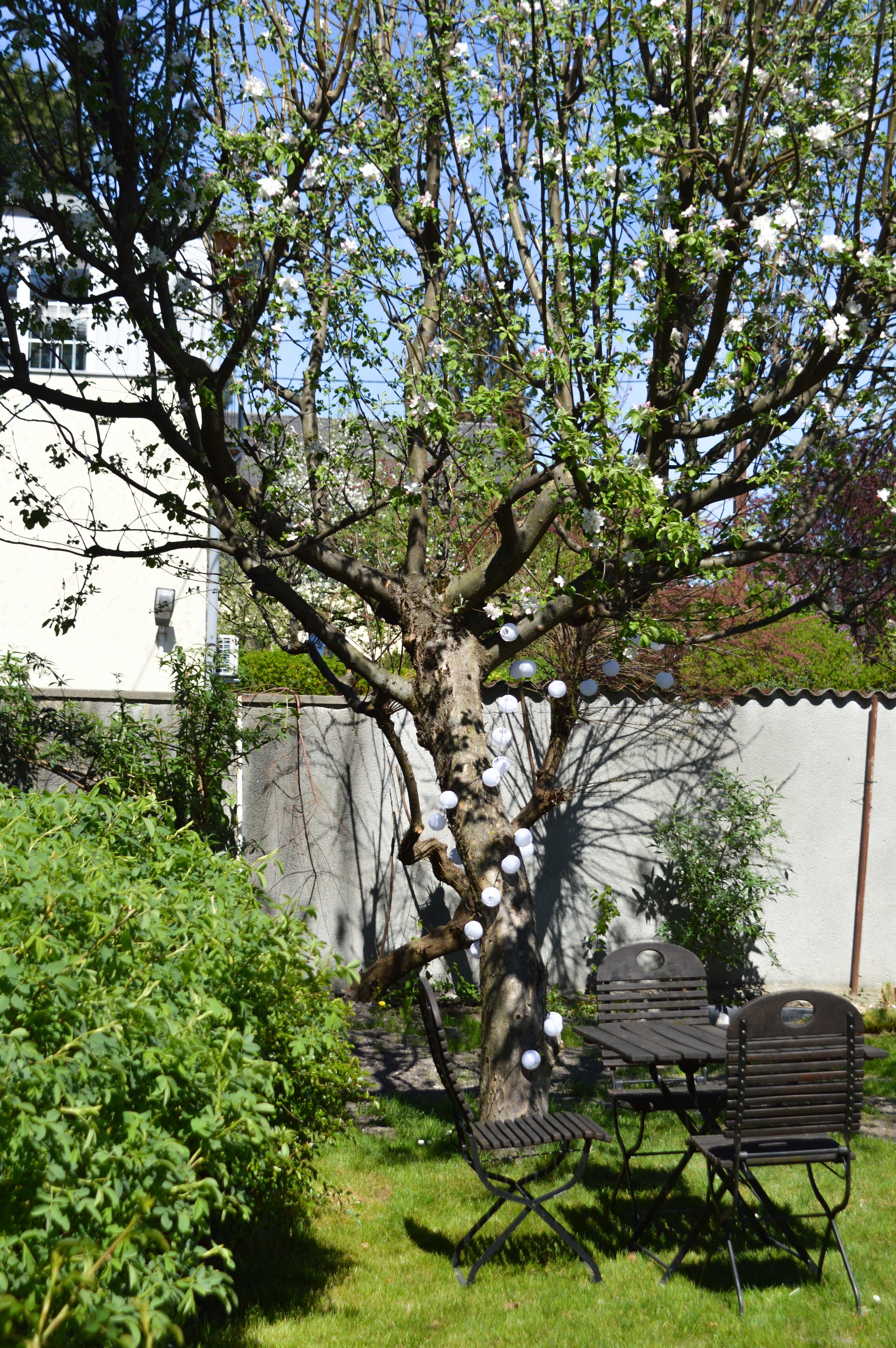 Foto - Pension Elisabeth - Rooms & Apartments