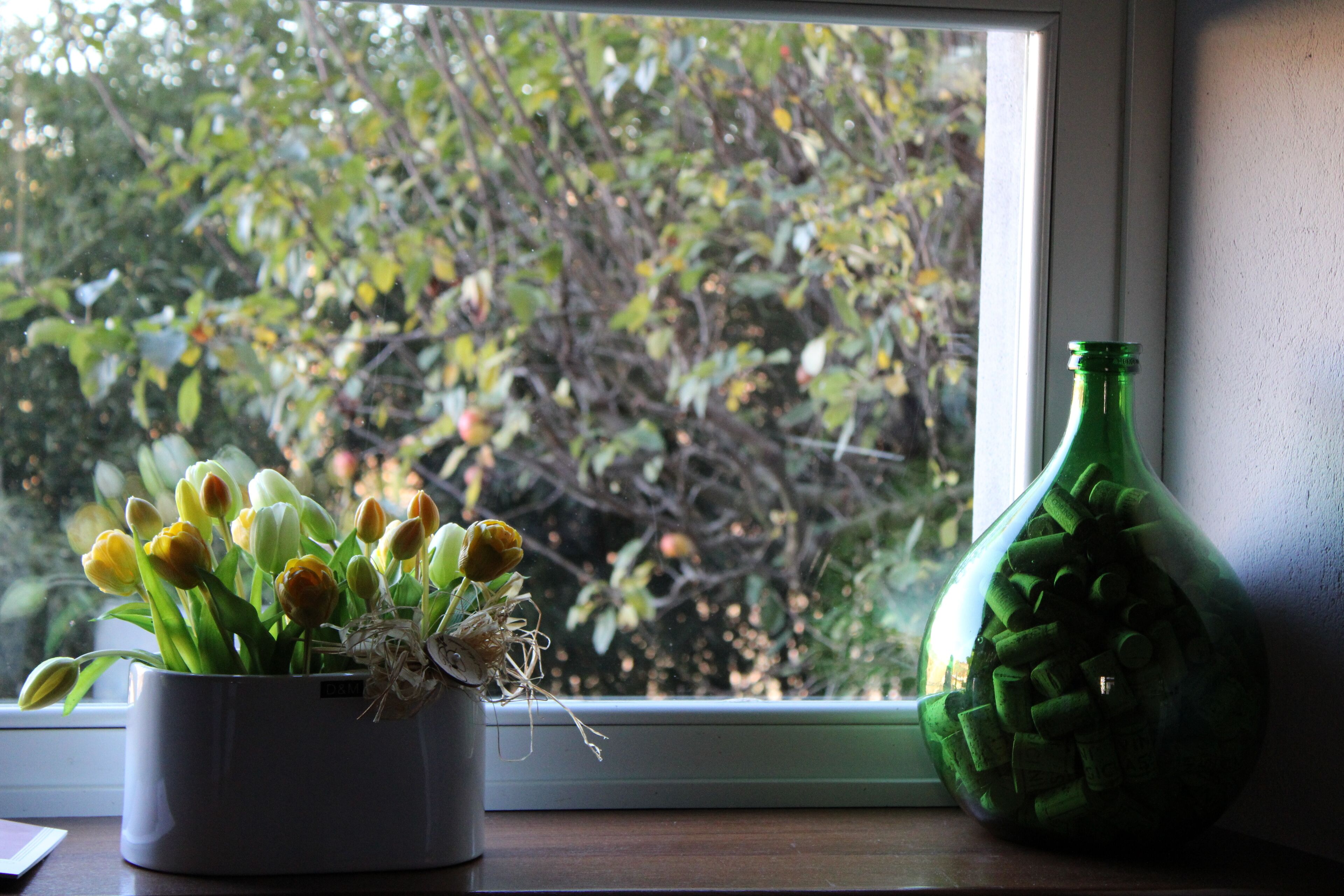A window with a potted tulip arrangement and a green bottle on a windowsill.