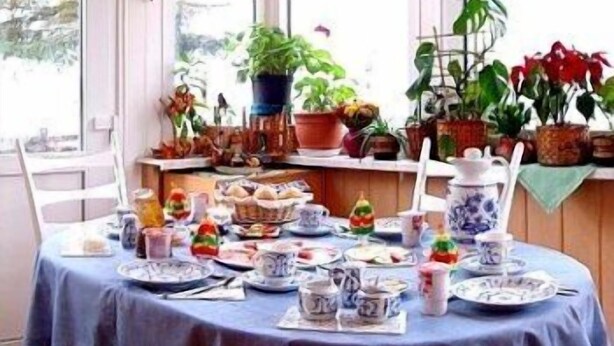 Een eettafel gedekt met borden, kopjes en diverse gerechten, omringd door potplanten en een raam met uitzicht op bomen.
