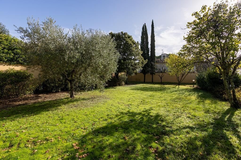 Un jardín bien cuidado con diversos árboles y un cielo despejado.