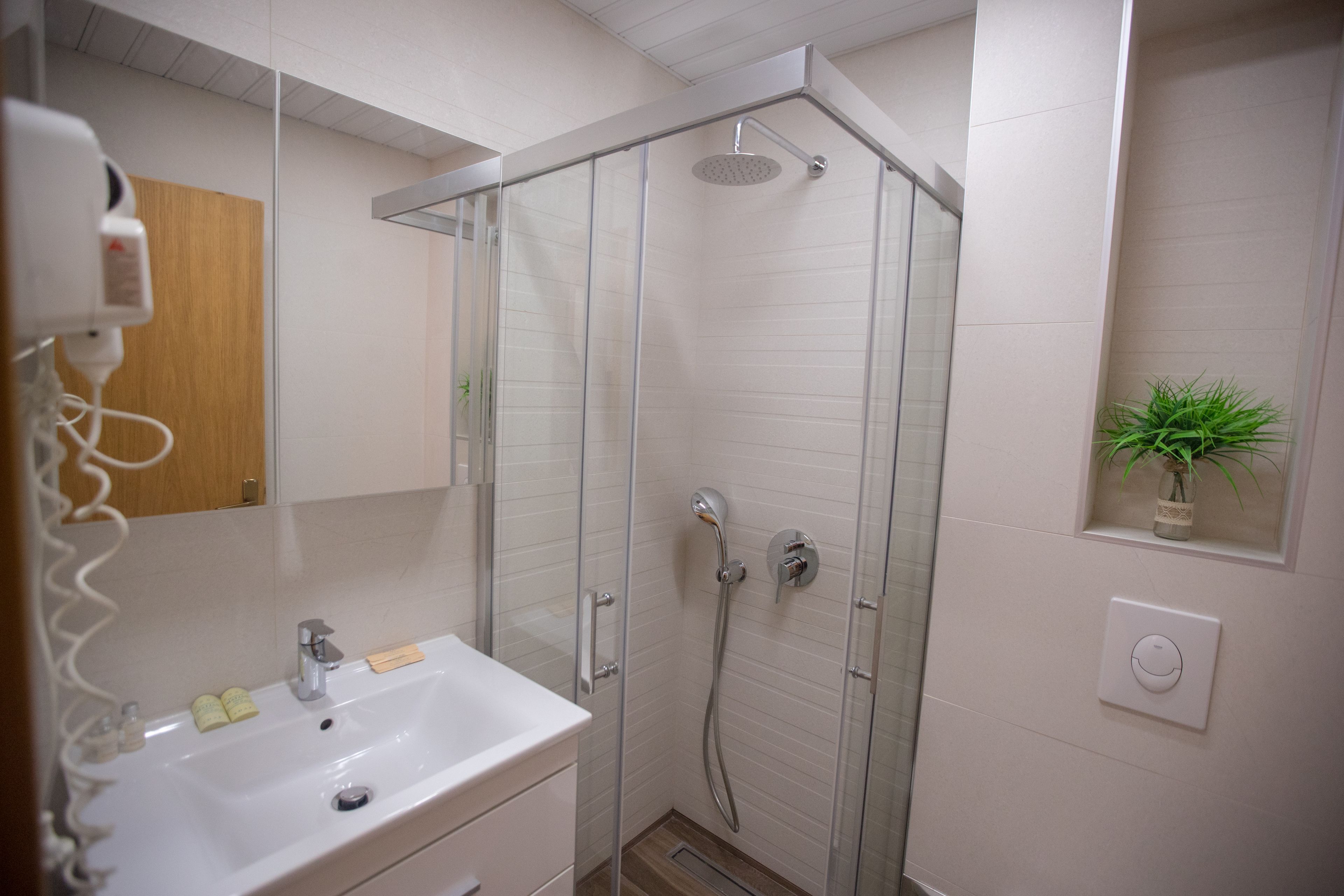 A modern bathroom with a glass-enclosed shower, a white sink with toiletries, and a small plant on the wall.