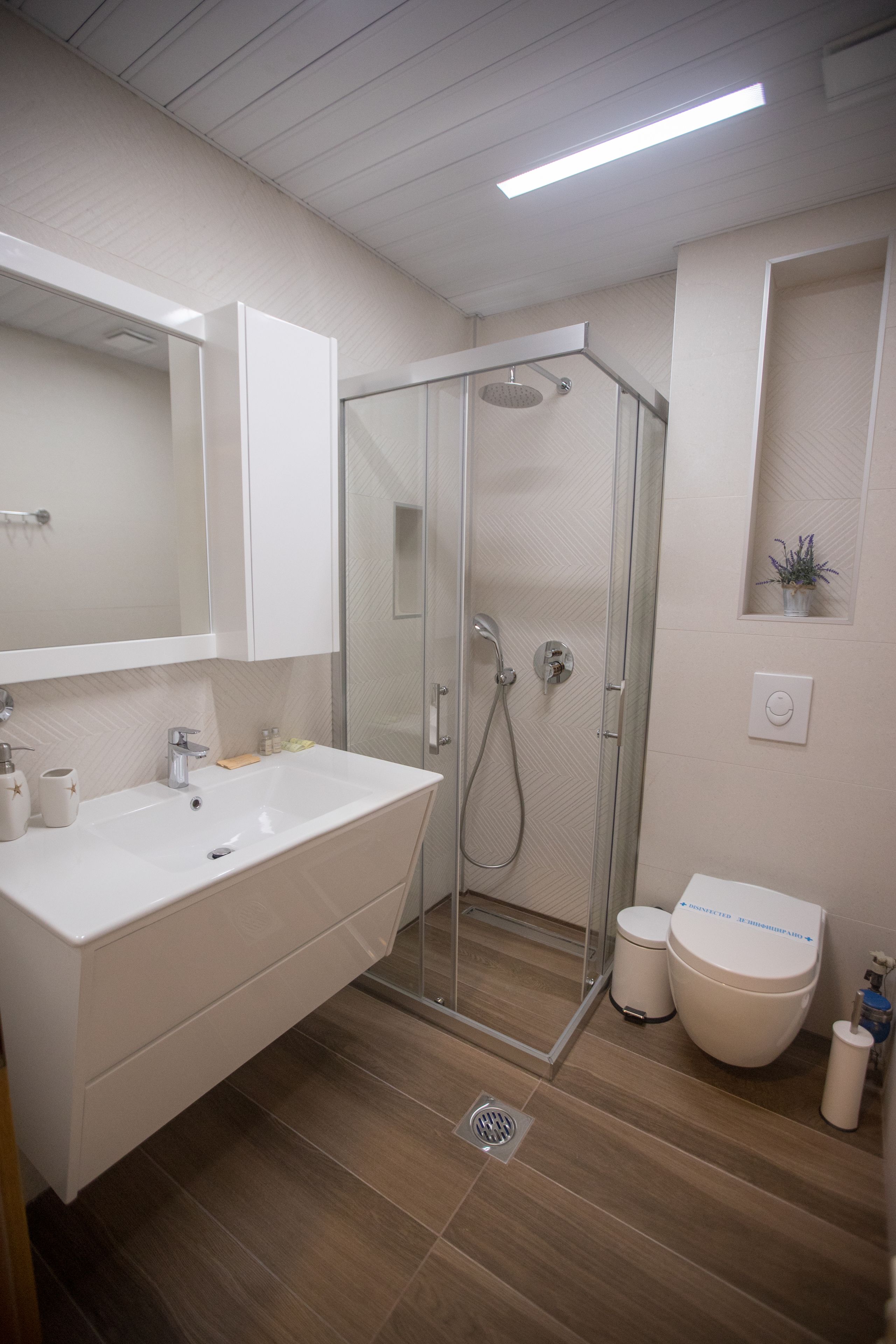 A modern bathroom with a large white sink, a glass-enclosed shower, a toilet, and a small plant on the wall.